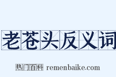 老苍头反义词是什么意思的图片